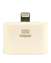 Adapter Converter 8 Pin To 30 Pin iPhone 5 iPad 4 